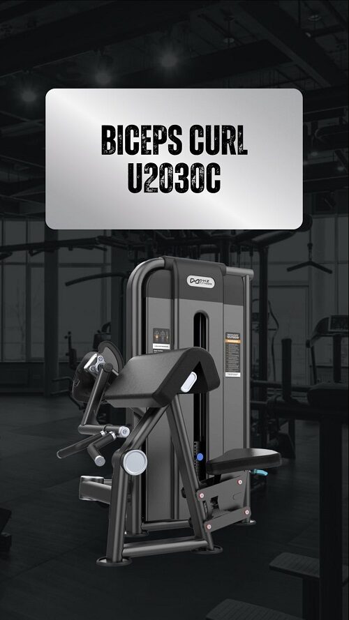 Biceps Curl U2030C