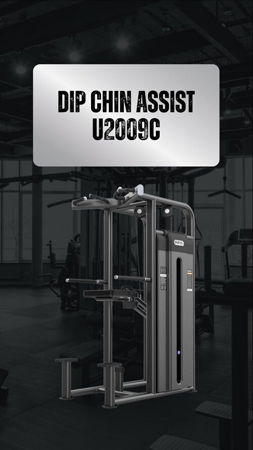 DIP Chin Assist U2009C