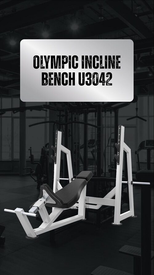 Olympic Incline Bench U3042