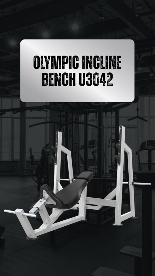 Olympic Incline Bench U3042