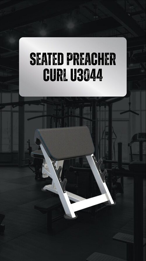 Seated Preacher Curl U3044