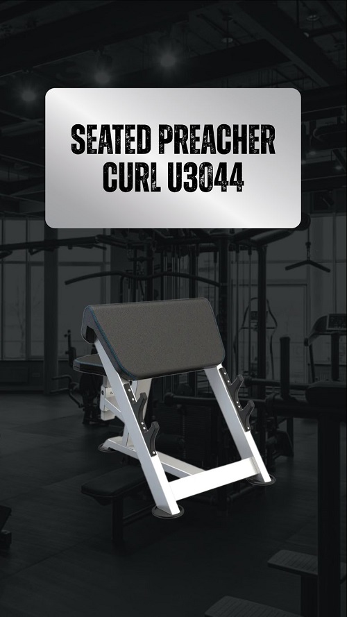 Seated Preacher Curl U3044