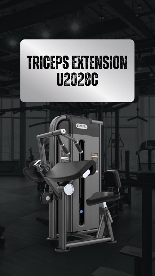 Triceps Extension U2028C