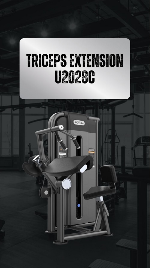 Triceps Extension U2028C